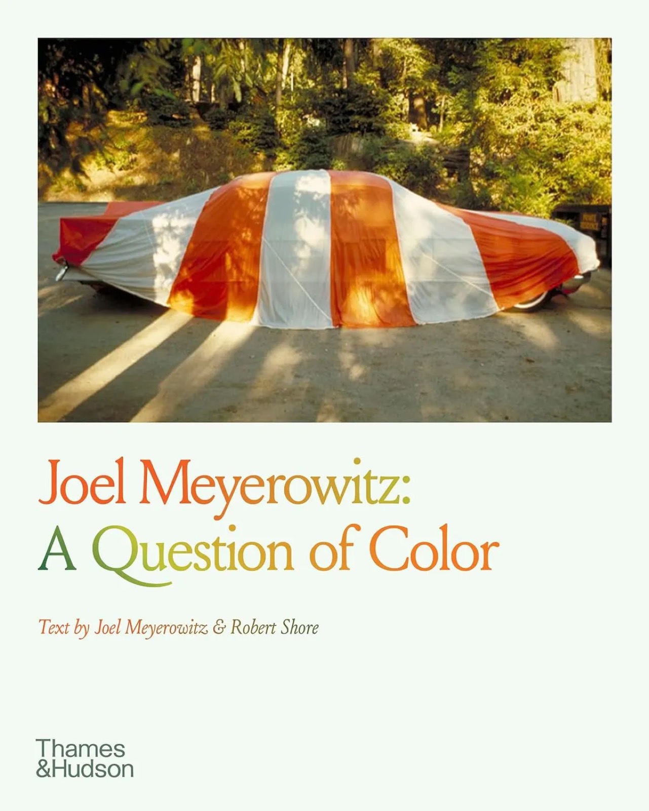 Joel Meyerowitz at Tate Modern
