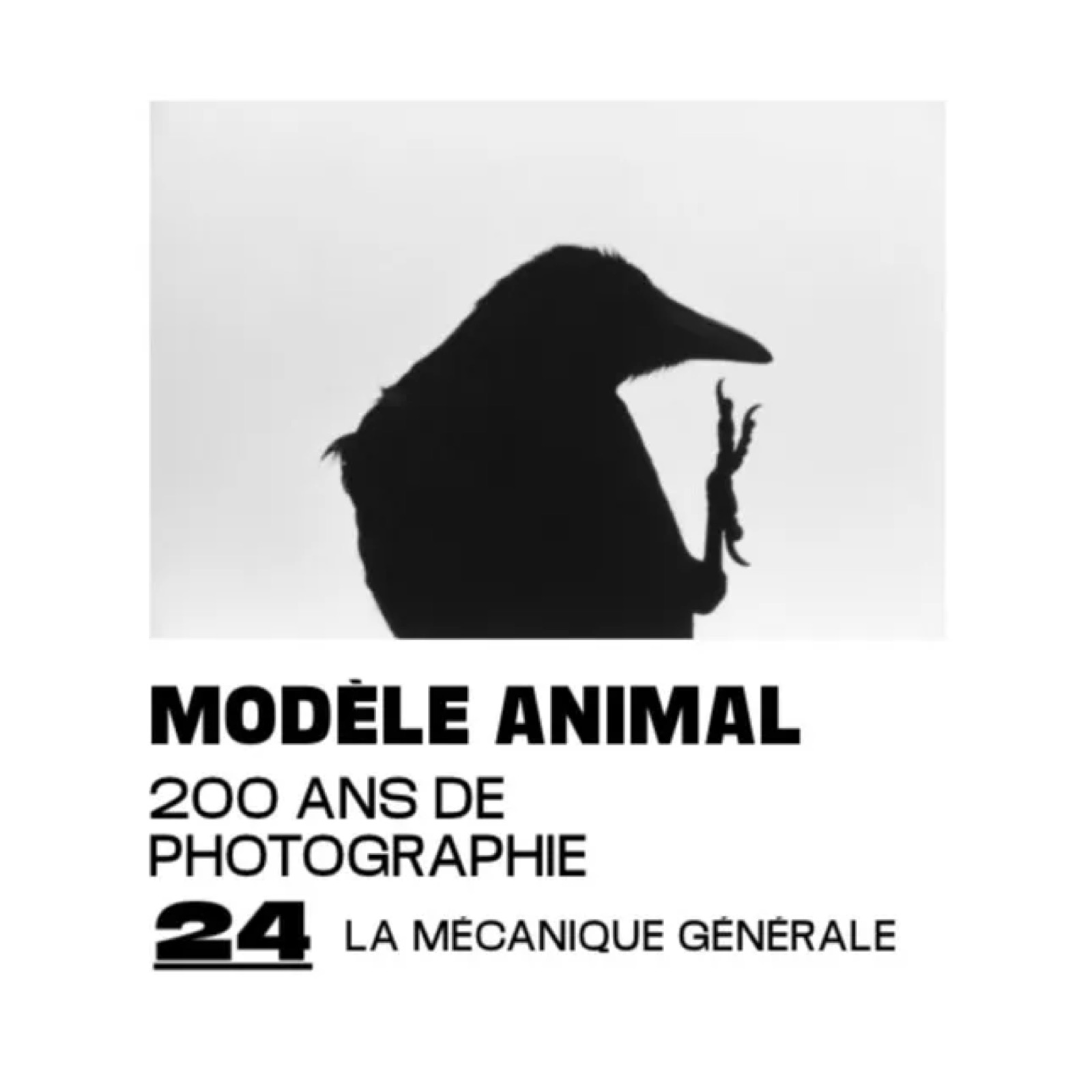William Wegman, Ramón Masats, Sarah Moon and Todd Hido at Arles, Les Rencontres de la Photographie: Animal Model, 200 Years of Photography