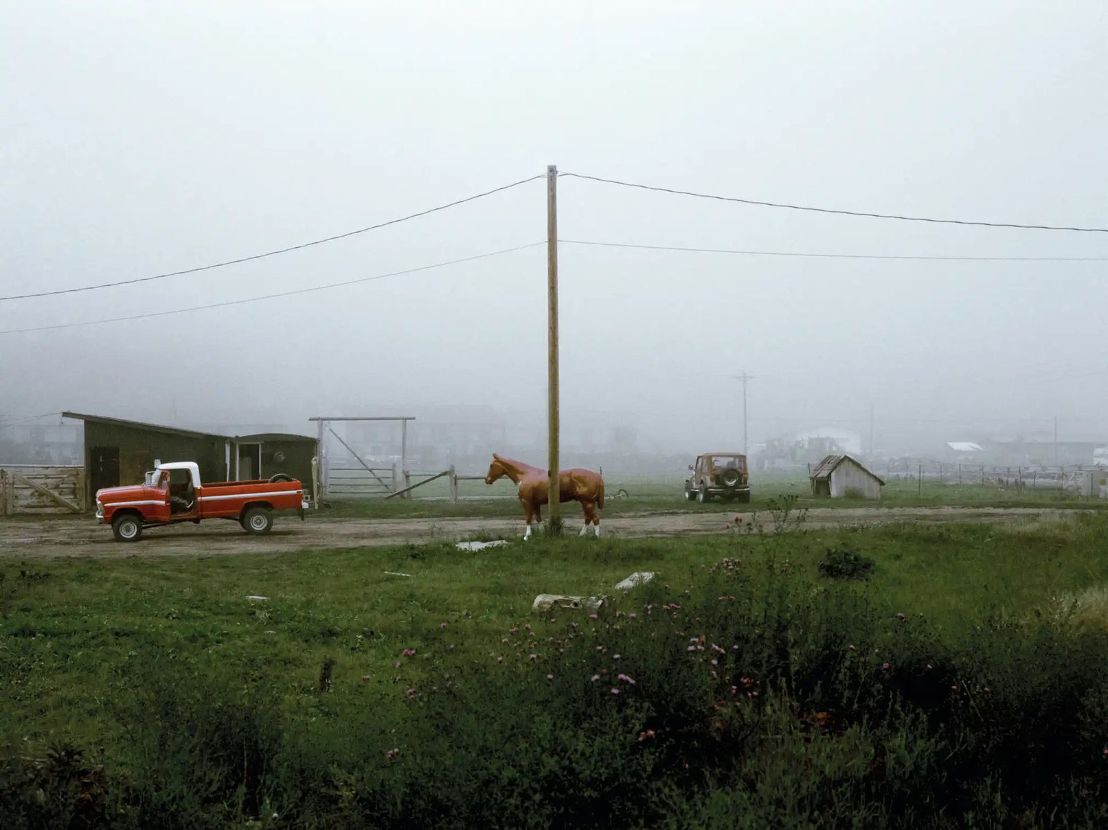 Vroom with a view: images from behind the wheel