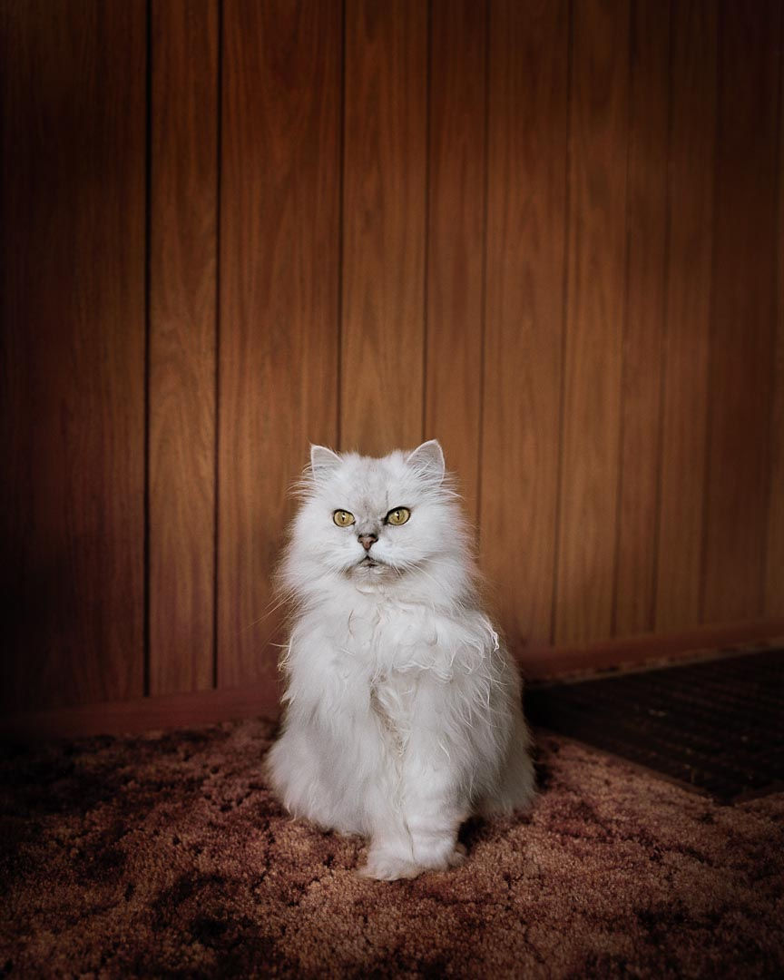 Todd Hido, un rincón secreto entre la literatura y el cine