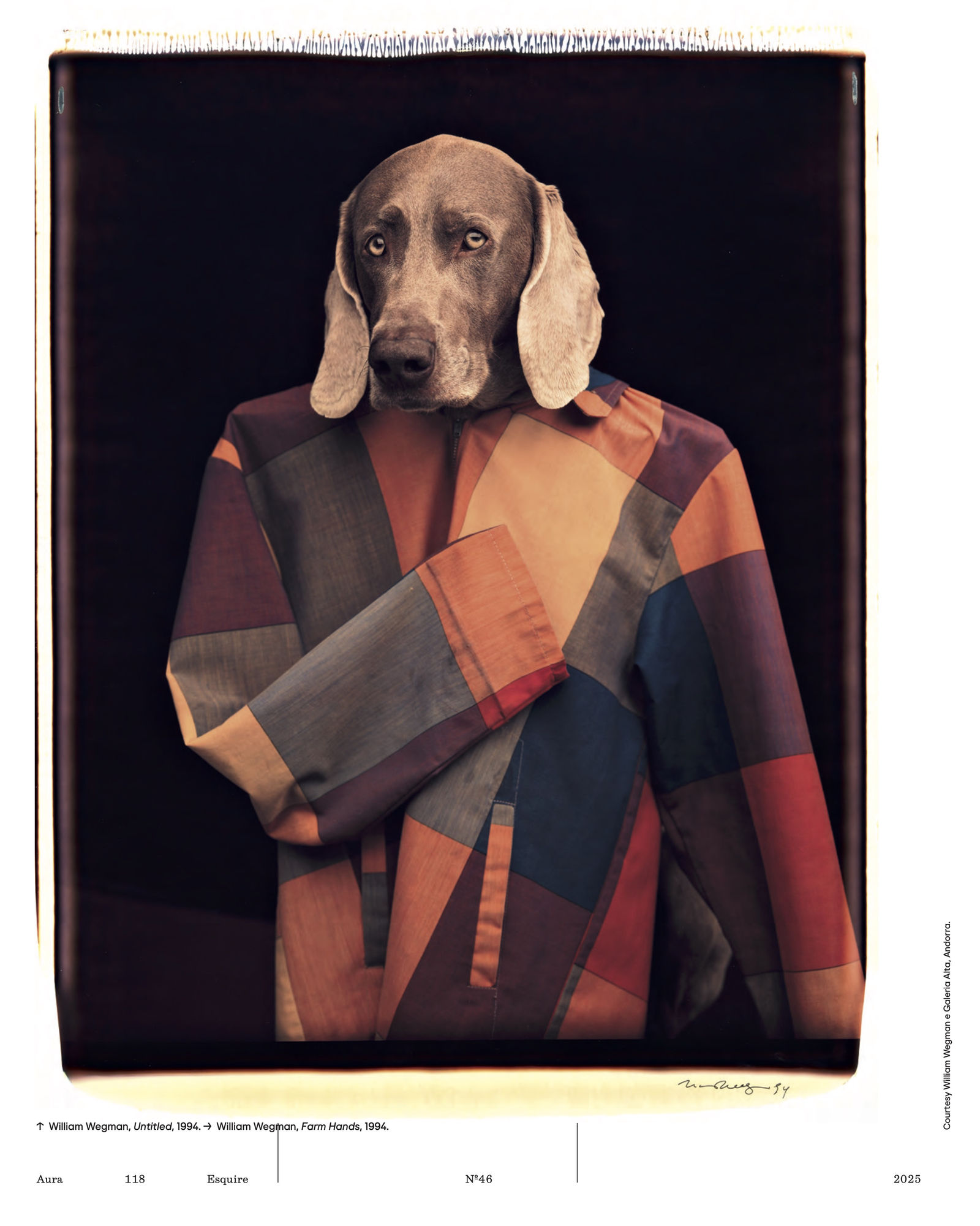 The Canine Theory Of Equivalences