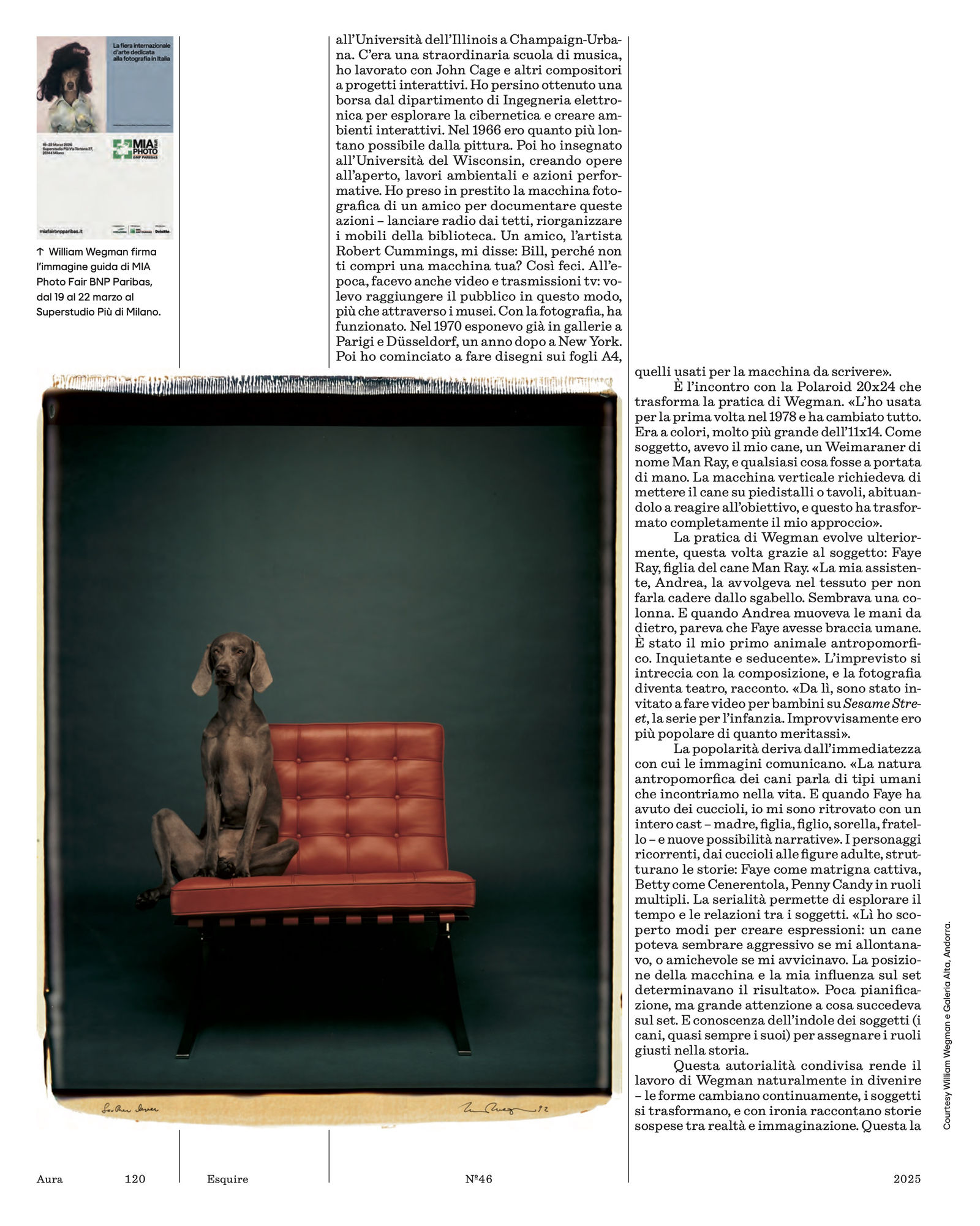 The Canine Theory Of Equivalences
