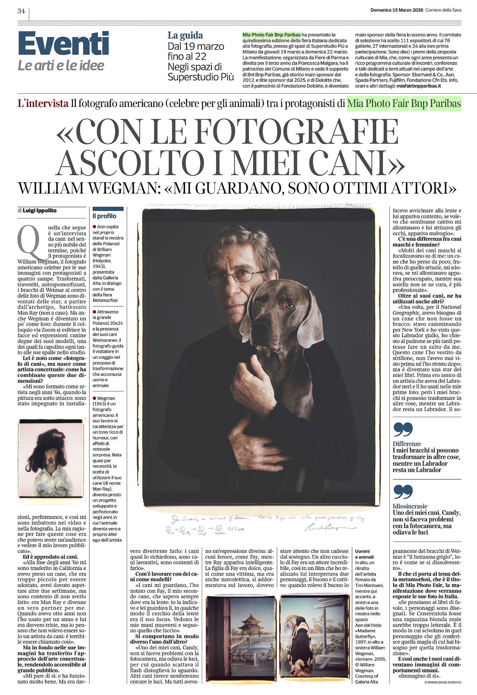 Con le fotografie ascolto i miei cani / With Photography I listen to my dogs