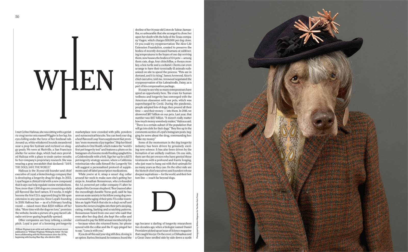 Do We Have To Grow Old? The Longevity Issue.