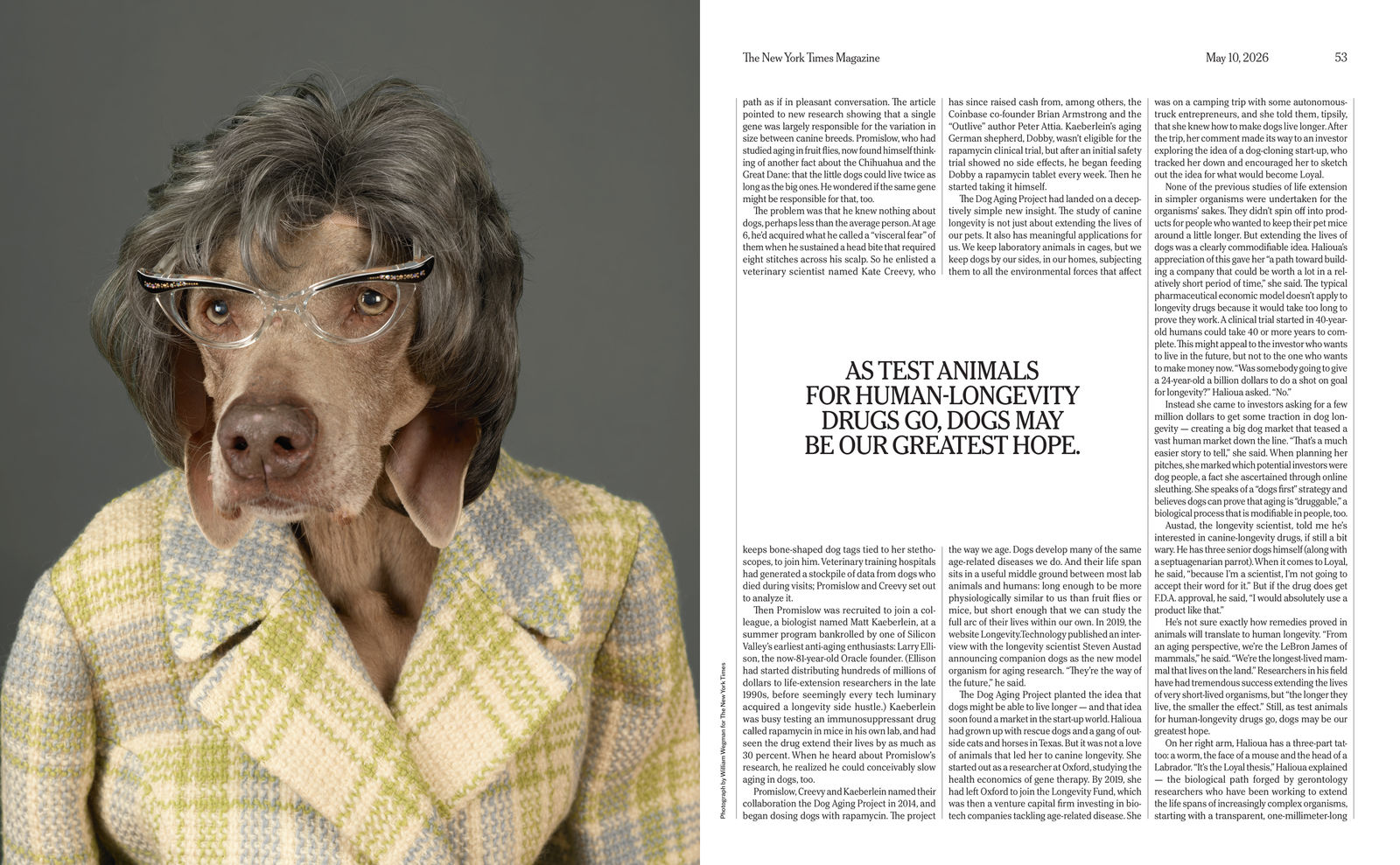 Do We Have To Grow Old? The Longevity Issue.