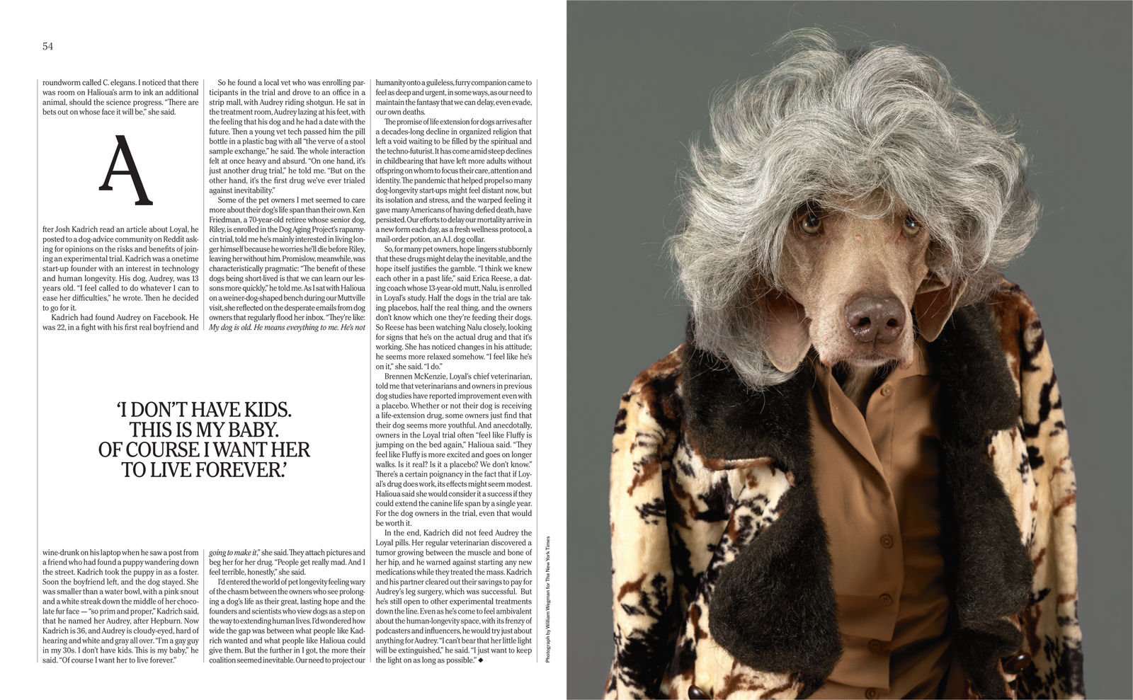 Do We Have To Grow Old? The Longevity Issue.