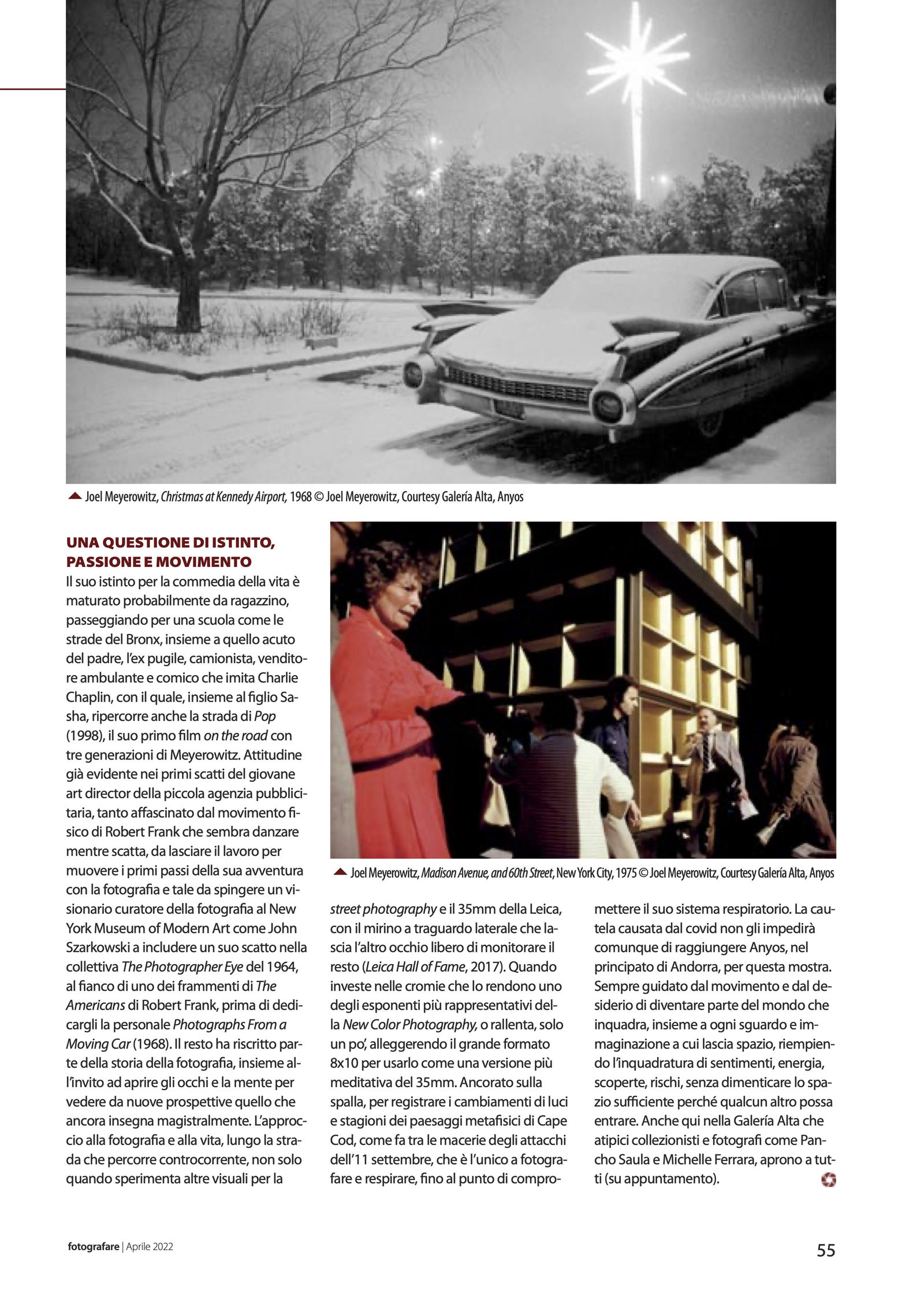 Licenza di Vedere / License to See