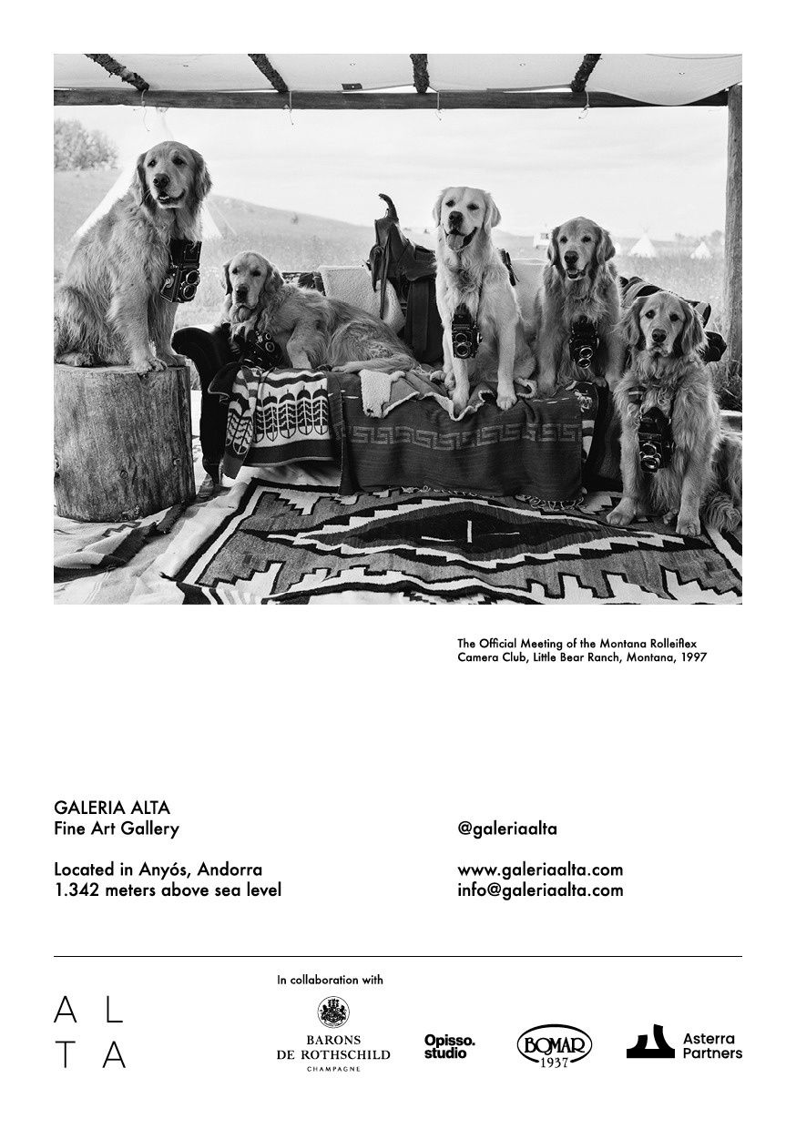 Alta exhibits Bruce Weber's photography at 1.342 meters above sea level.
