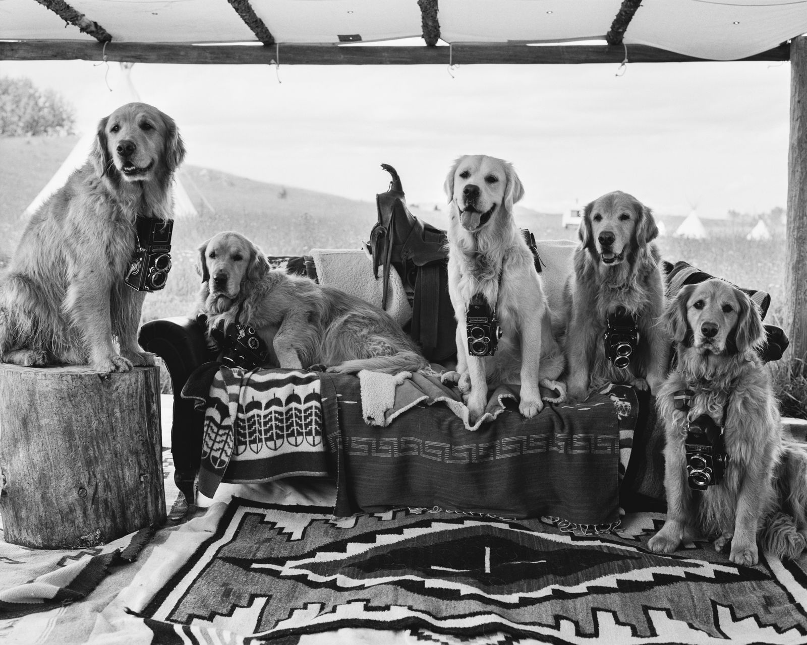 Las fotografías más icónicas de Bruce Weber en Alta