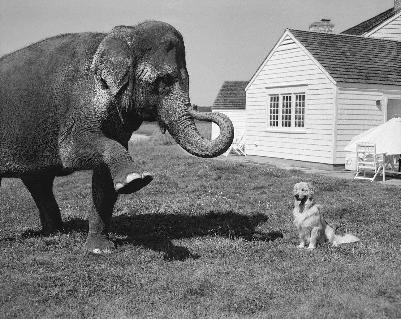 Photographer Bruce Weber Reveals What New York's Art Elite Got Up to When No One Was Watching