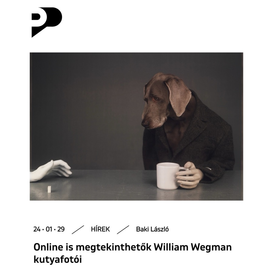 Online is megtekinthetők William Wegman kutyafotói