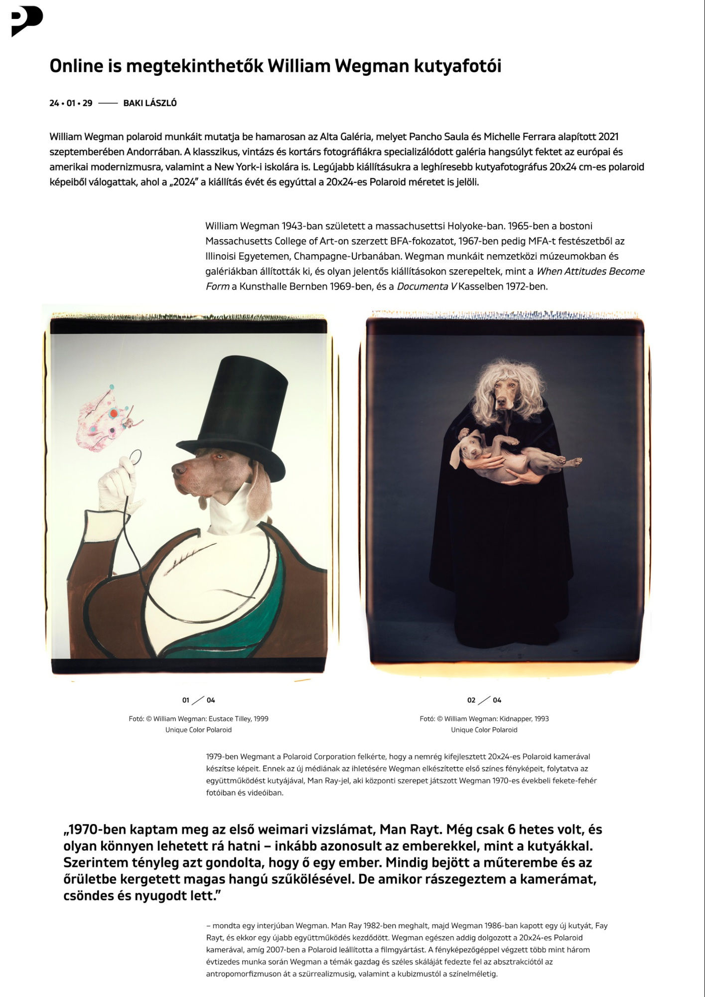 Online is megtekinthetők William Wegman kutyafotói