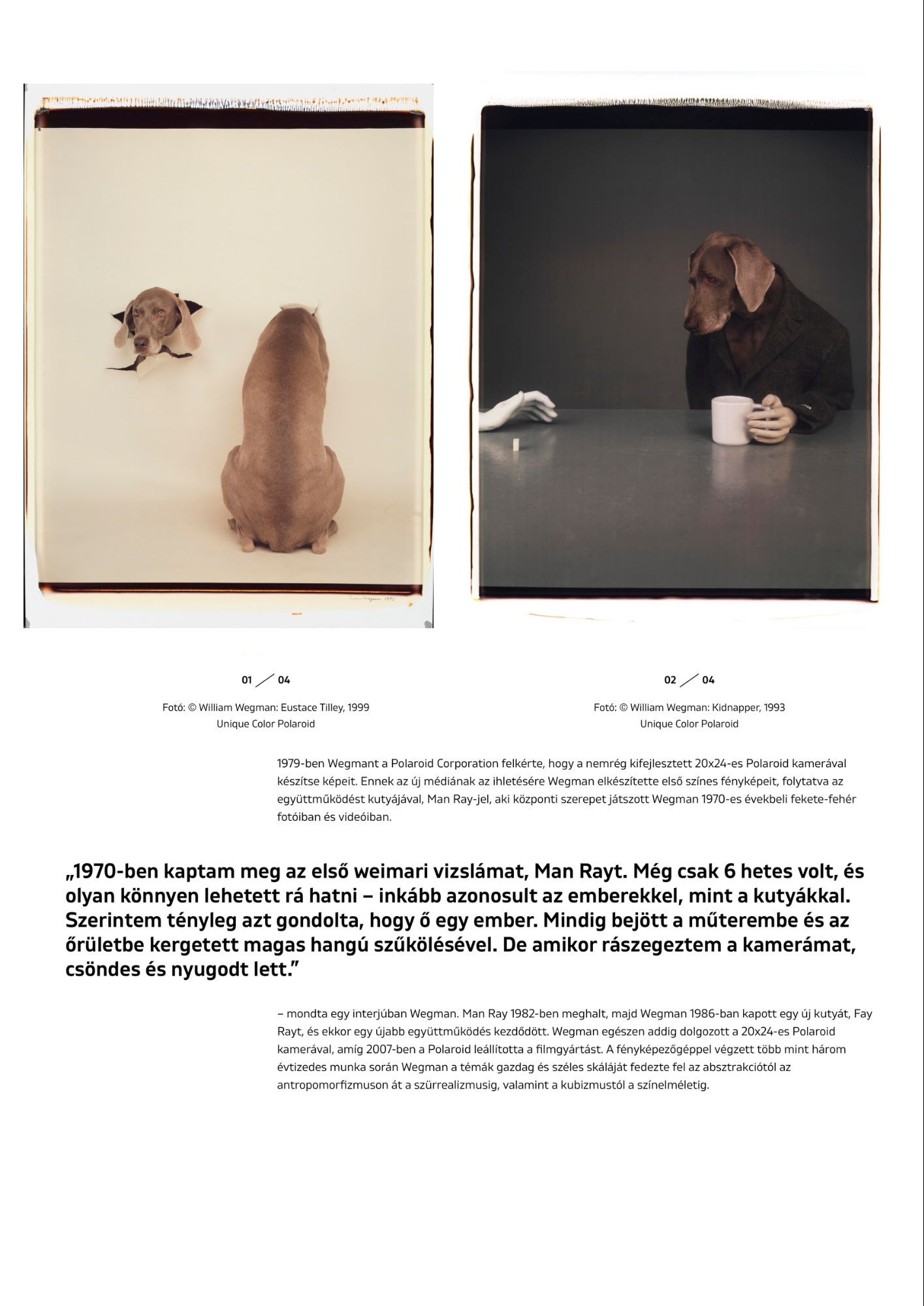 Online is megtekinthetők William Wegman kutyafotói