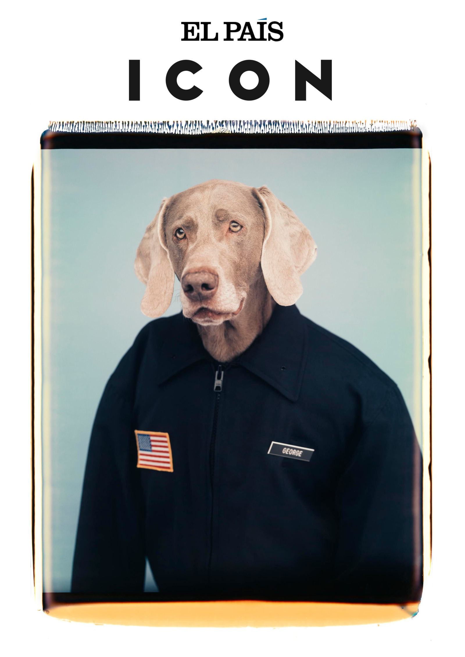 Patrulla Canina