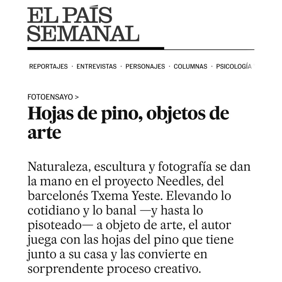 Pine needles, objects of art.