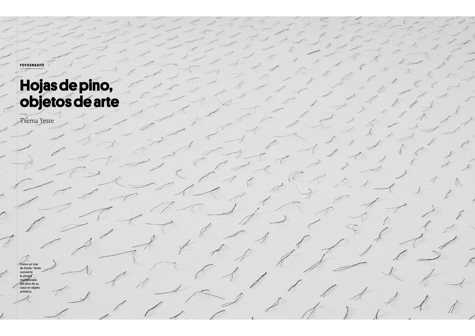 Pine needles, objects of art.