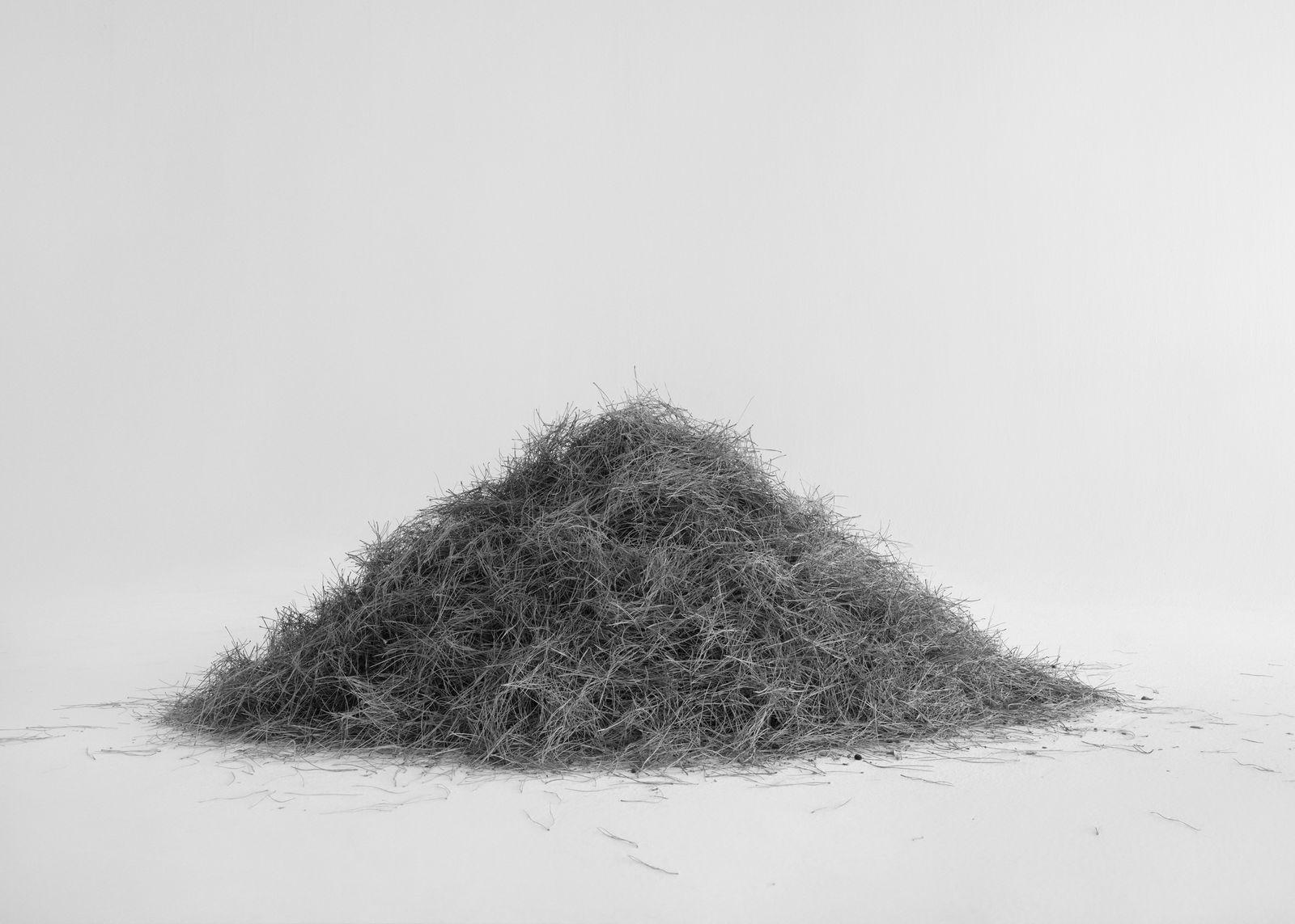 À la galerie Alta, le photographe Txema Yeste compose une ode à la légèreté