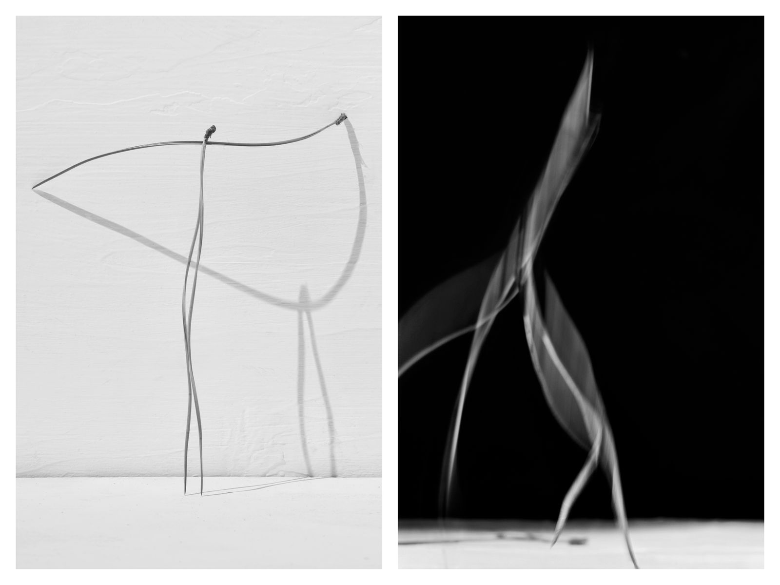 À la galerie Alta, le photographe Txema Yeste compose une ode à la légèreté
