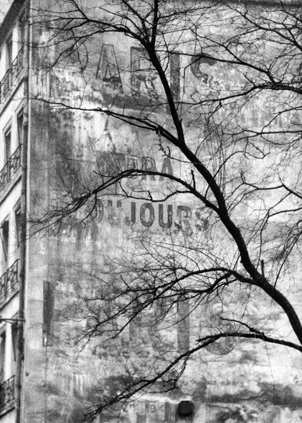 Frank Horvat, Old advertising and bare tree, Paris, 1955