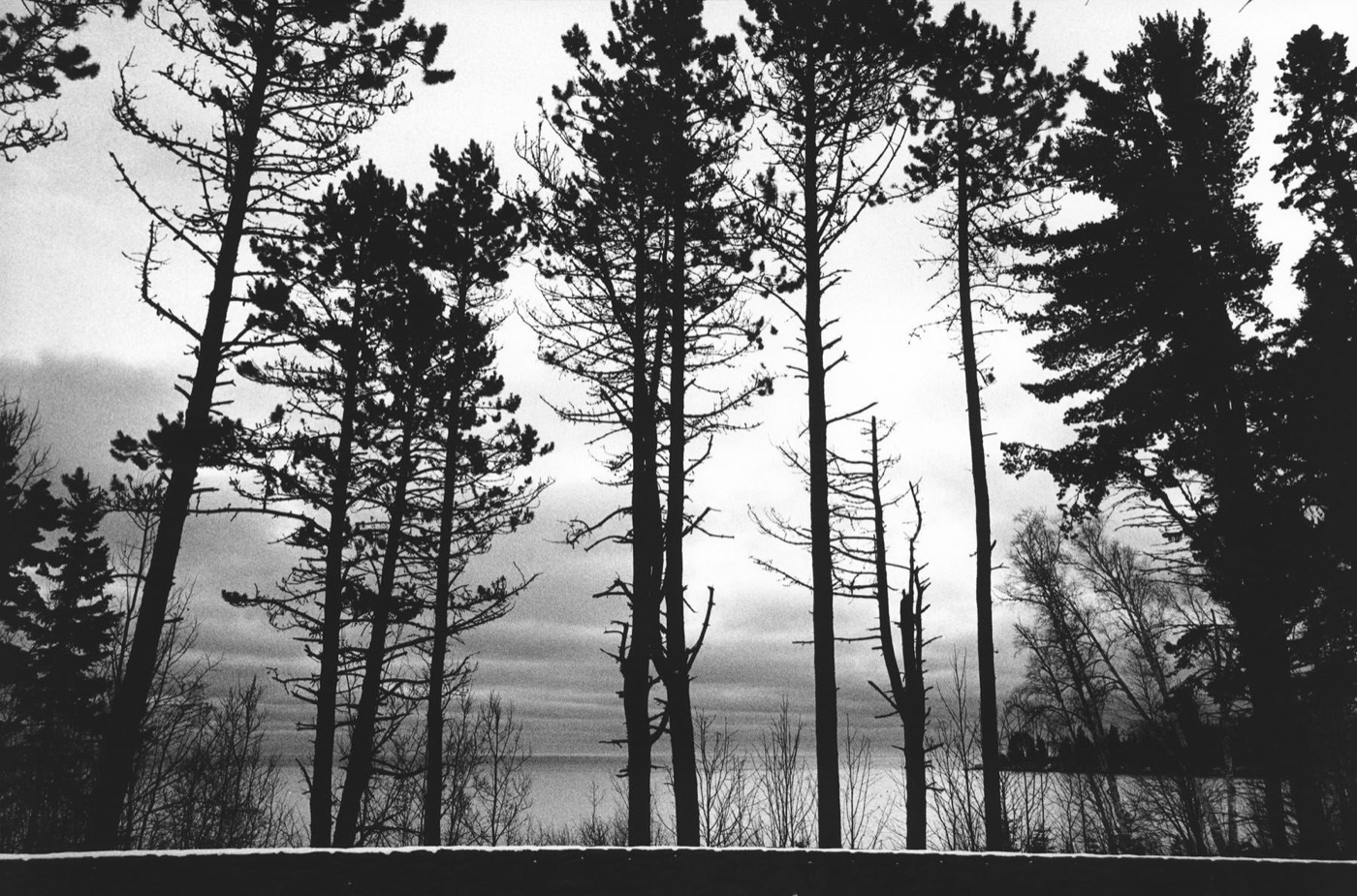Jessica Lange, Minnesota, from the series, "Highway 61", 2011-18
