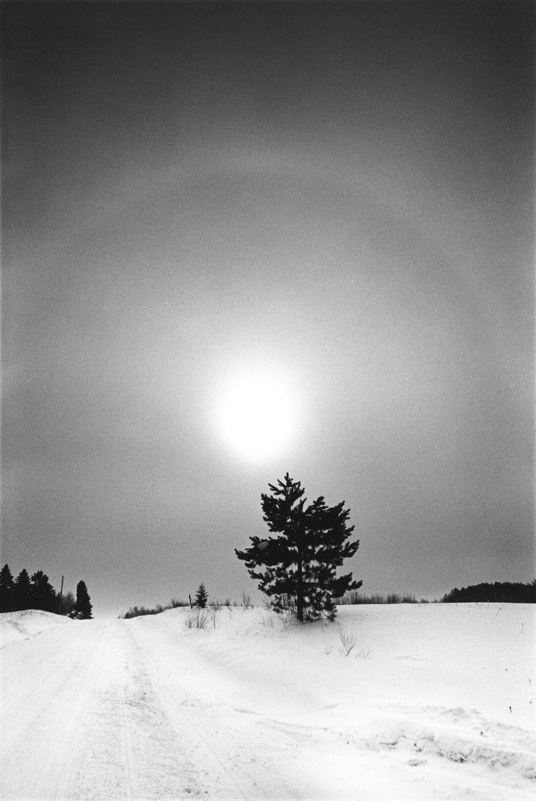 Jessica Lange, Minnesota, from the series, "Highway 61", 2011-18