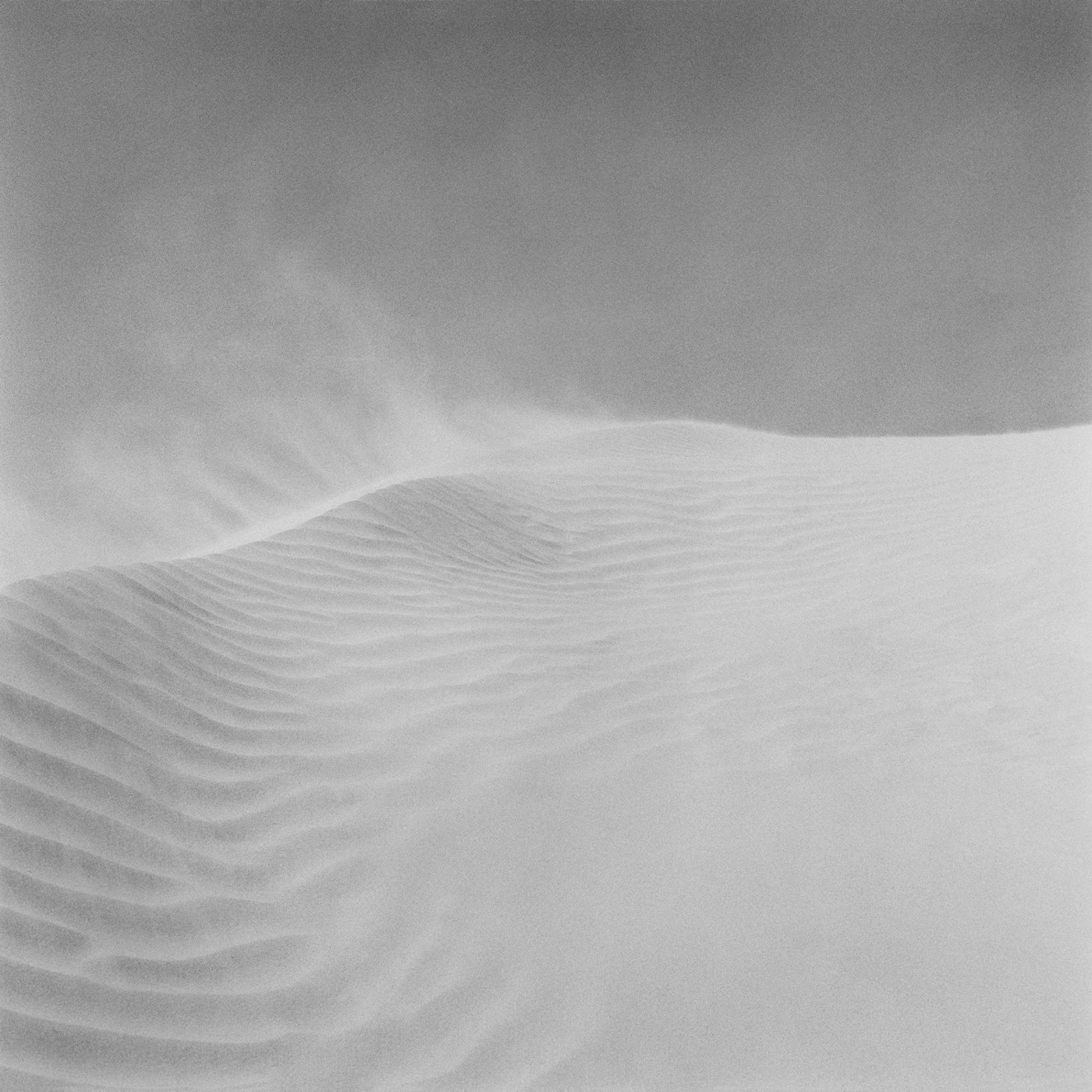Pancho Saula, Wind, 2017