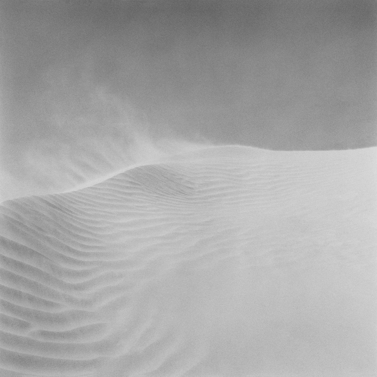 Pancho Saula, Wind, 2017