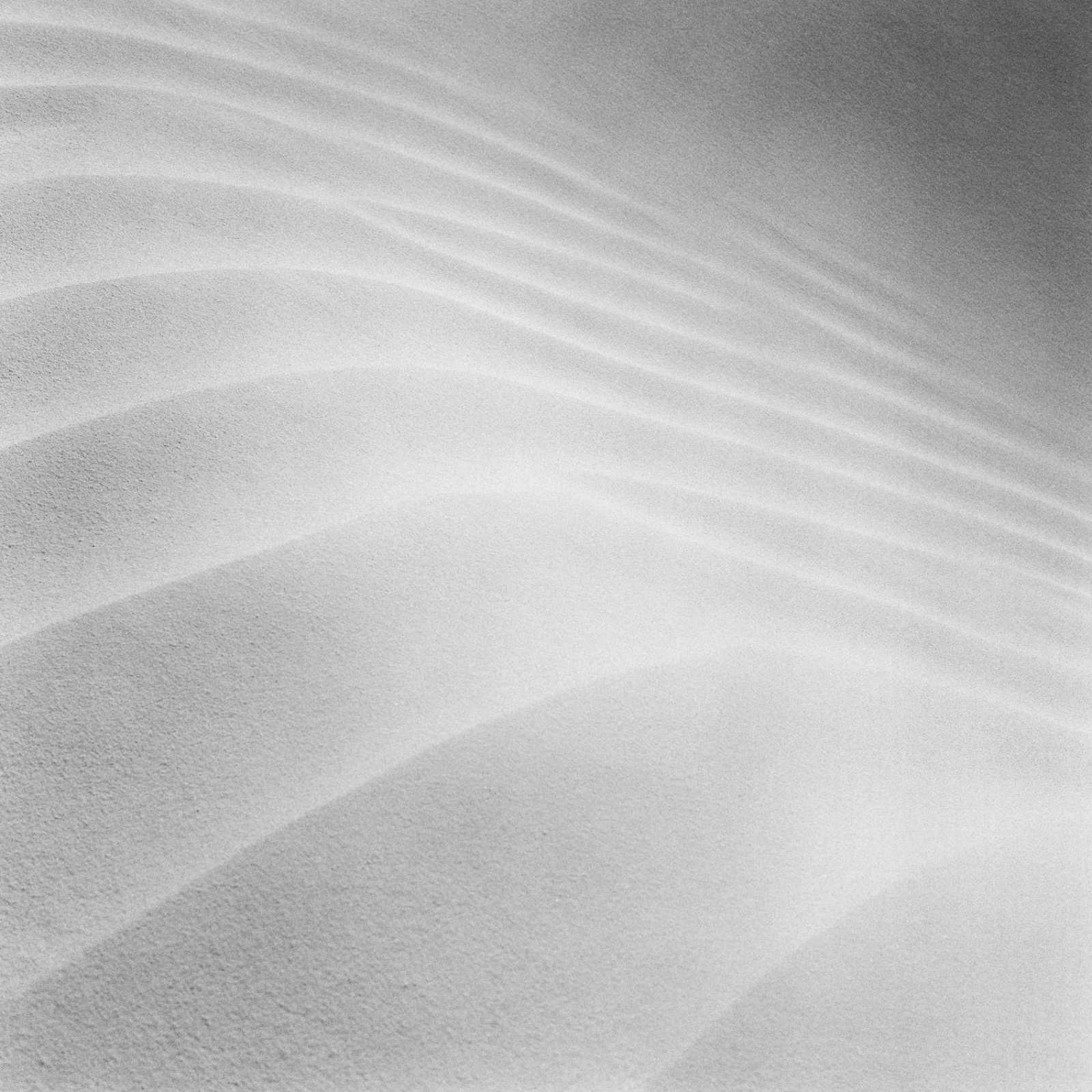 Pancho Saula, Sand Dune, 2017