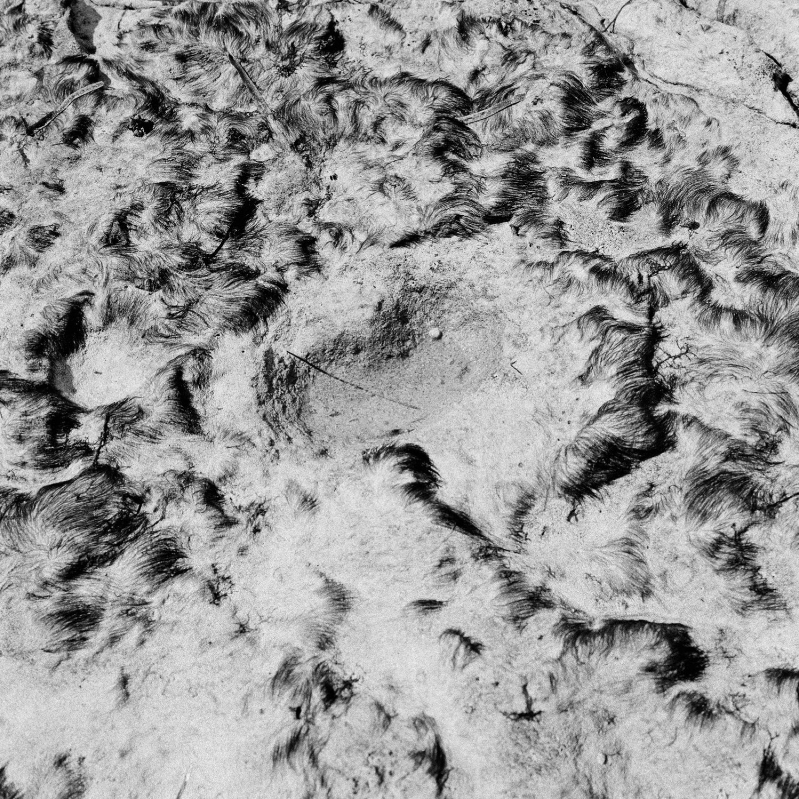Pancho Saula, Seabed, 2017