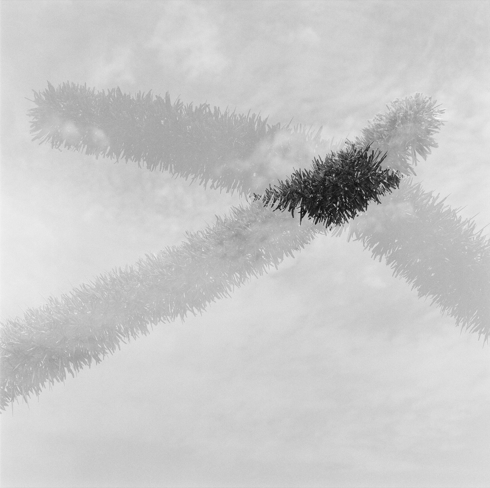 Pancho Saula, X, 2017