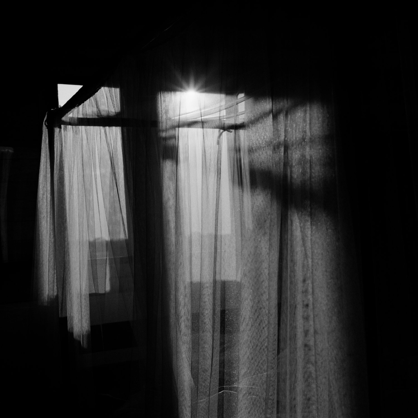 Pancho Saula, Morning Light, 2017