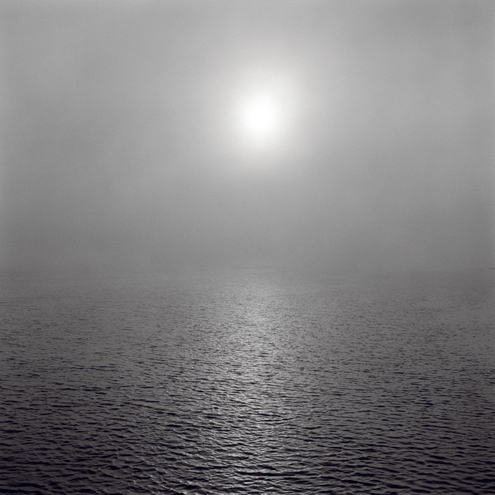 Pancho Saula, Ocean, 2017