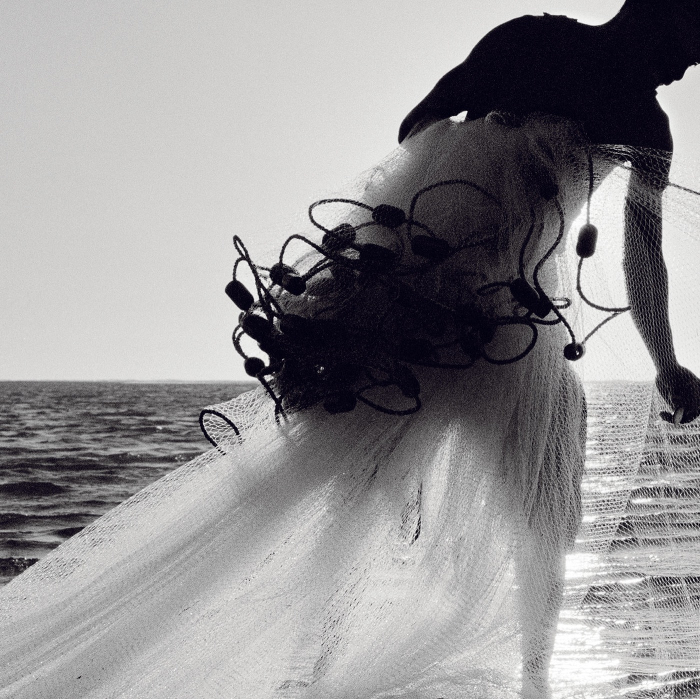 Pancho Saula, Wedding, 2017