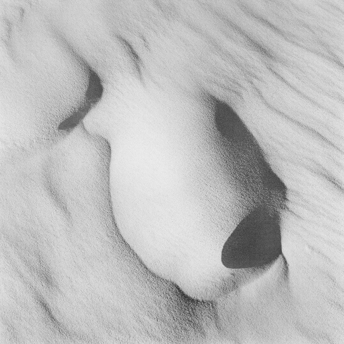 Pancho Saula, Sand Hills, 2017