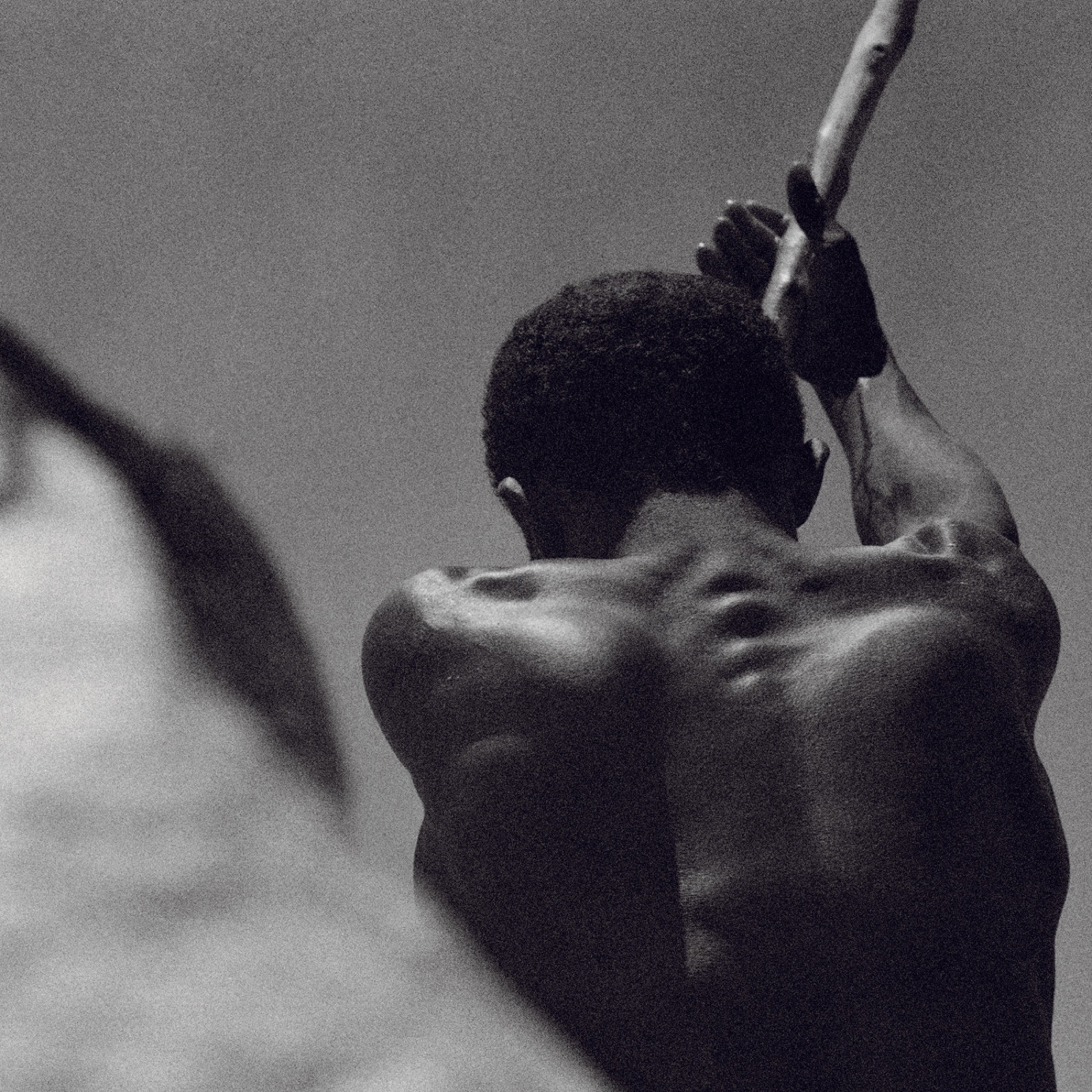 Pancho Saula, Row, 2017