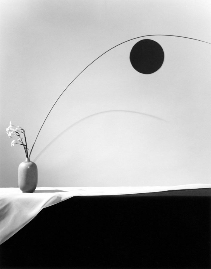 Robert Mapplethorpe, Flower, 1983