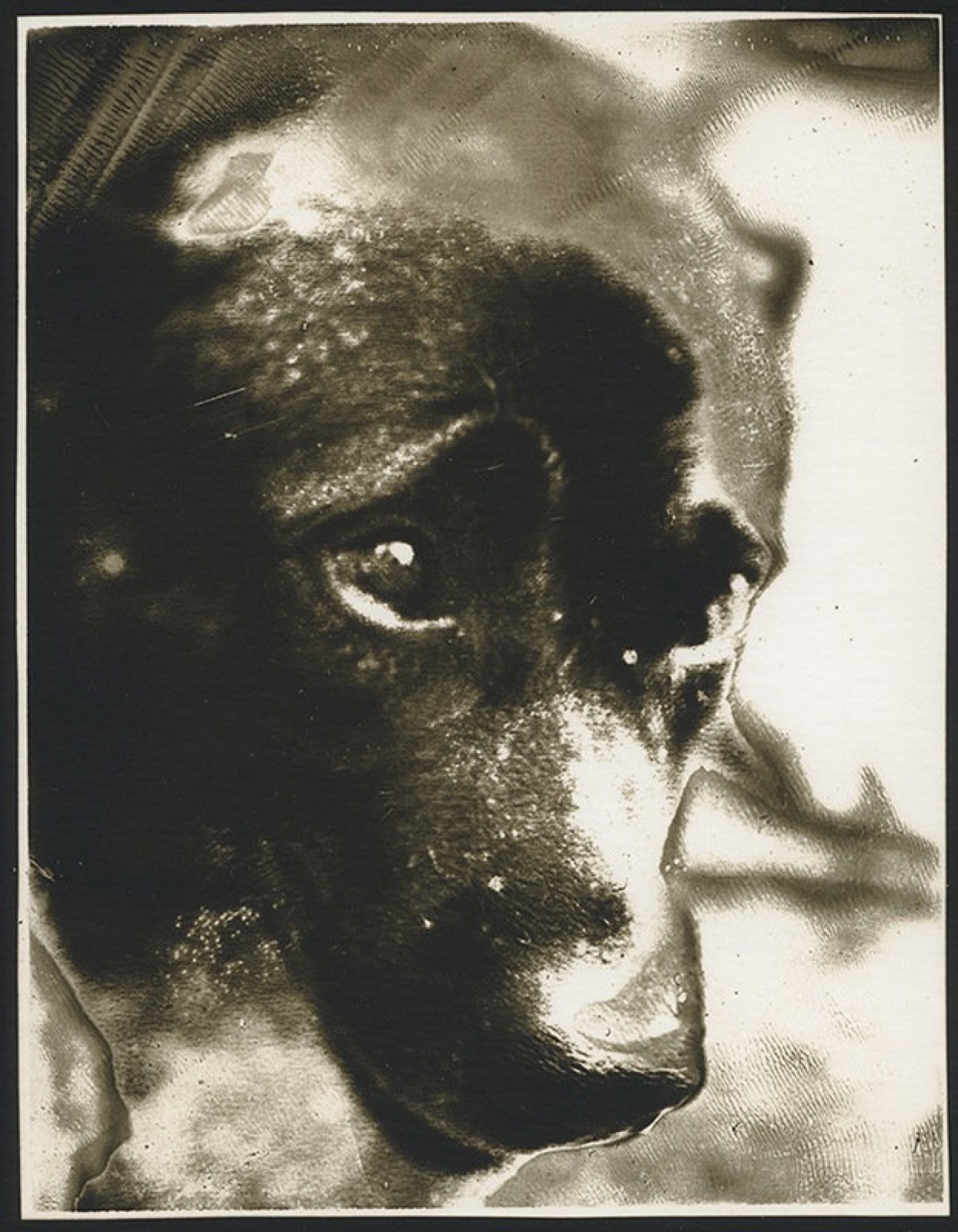 Sarah Moon, Abandon, 2003