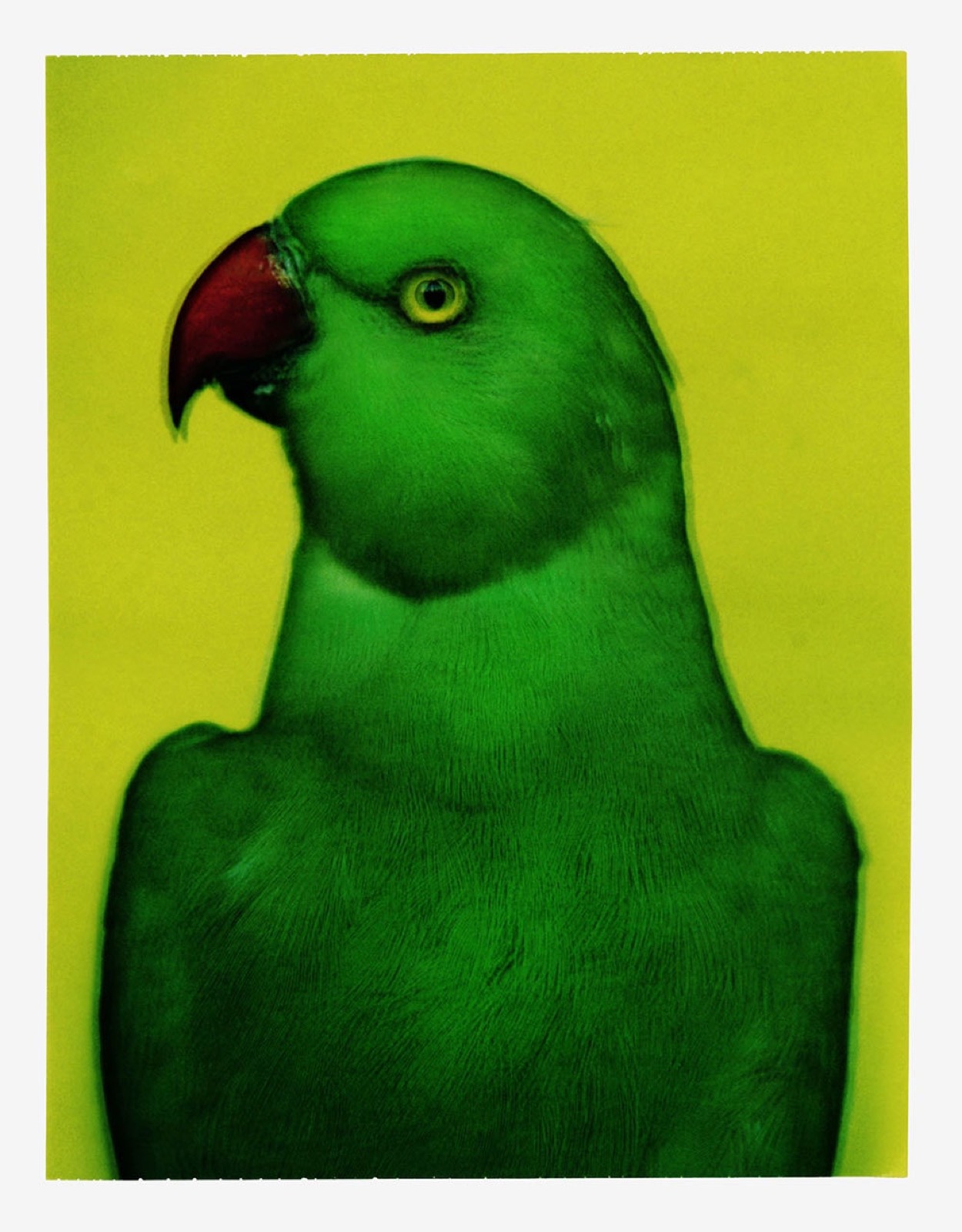 Sarah Moon, L'oiseau 2, 2000