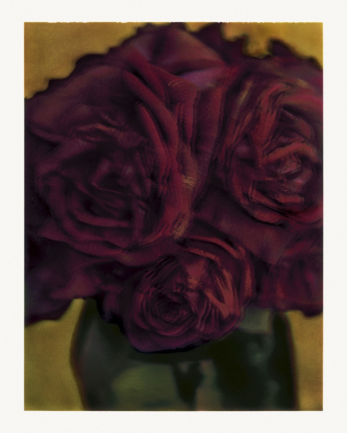 Sarah Moon, Les roses, 1998