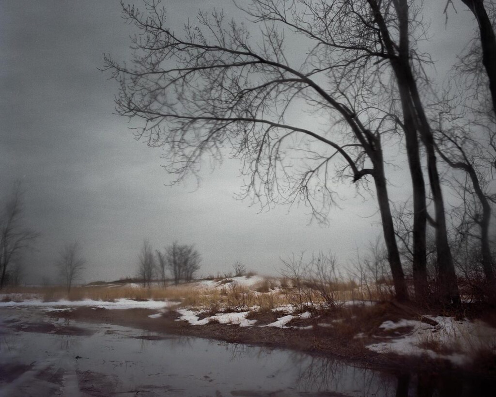Todd Hido, 10245, 2011