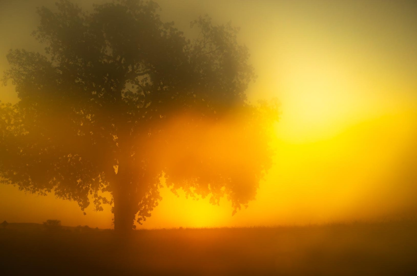 Todd Hido, 12076-9421, 2020