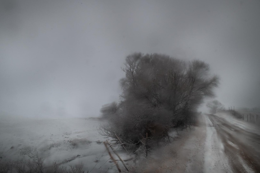 Todd Hido, 11946-9865, 2022