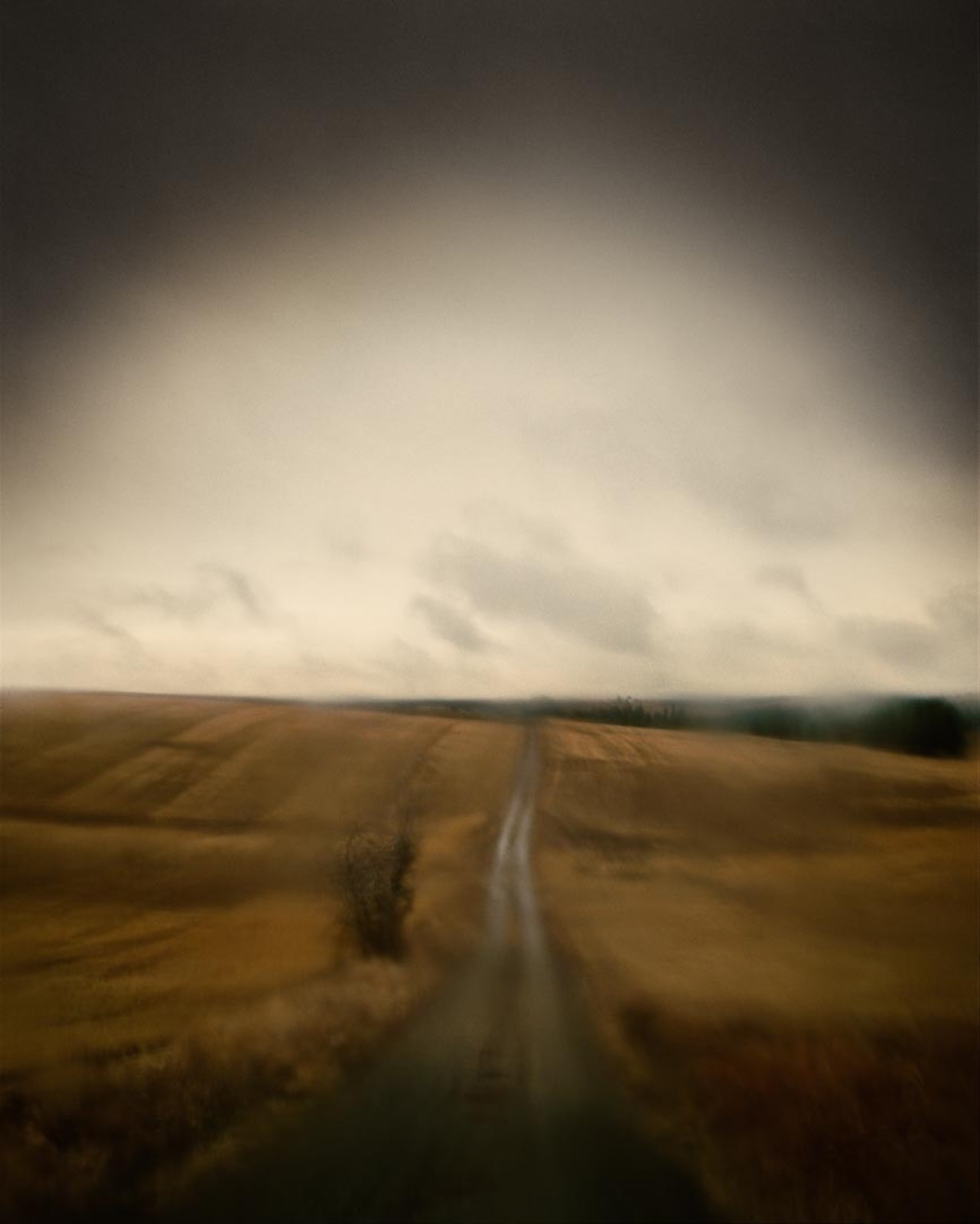 Todd Hido, 10806-6, 2012