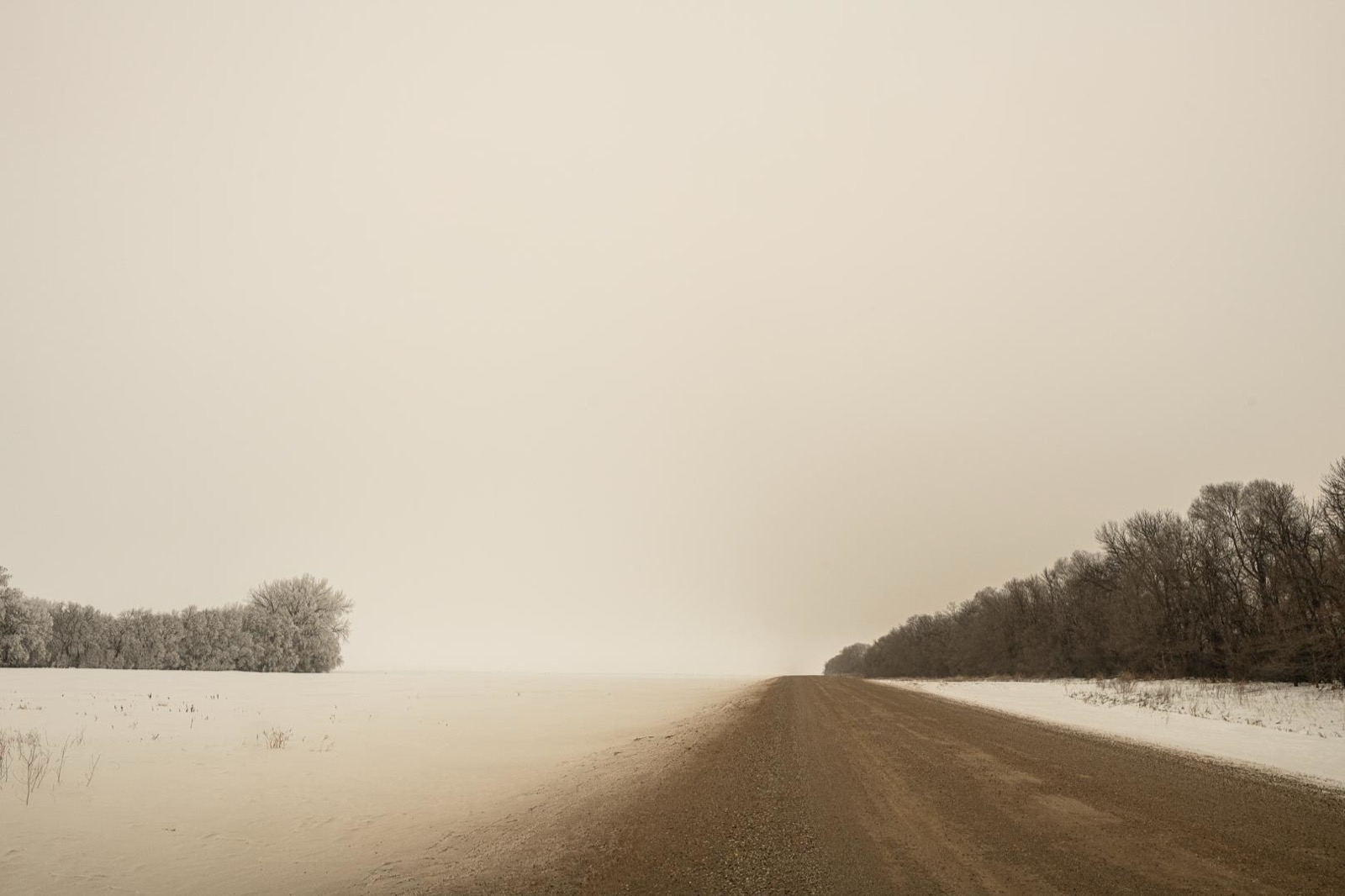 Todd Hido, 12005-4661, 2019