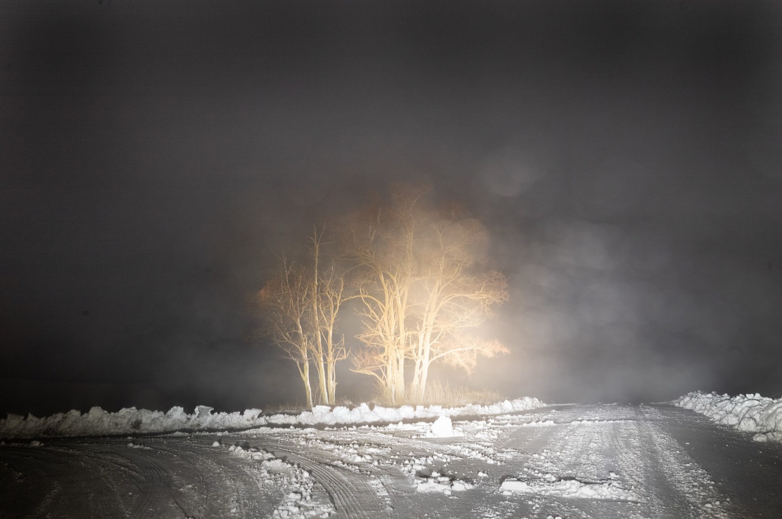 Todd Hido, 12044-4795, 2022