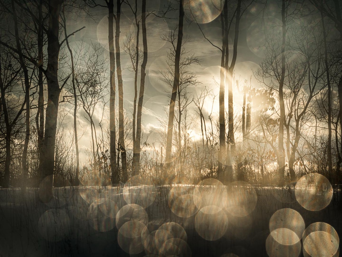 Todd Hido, 11682-5547, 2018