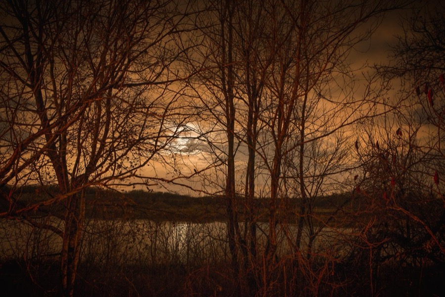 Todd Hido, 11599-5811, 2014