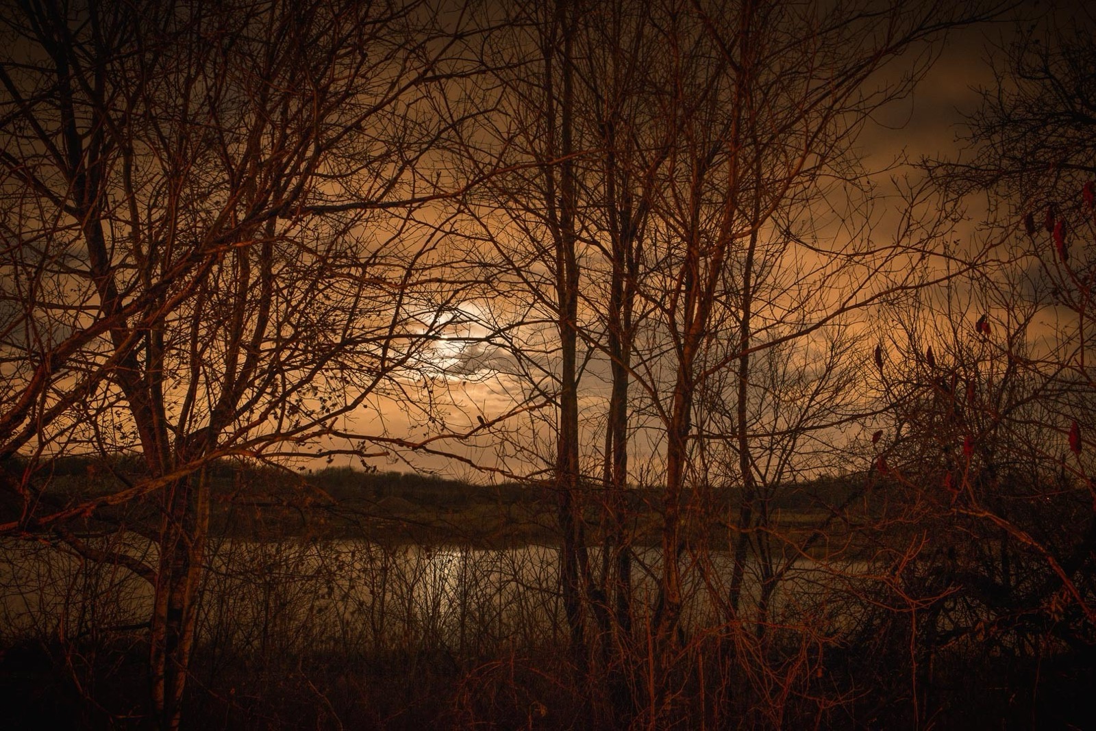 Todd Hido, 11599-5811, 2014