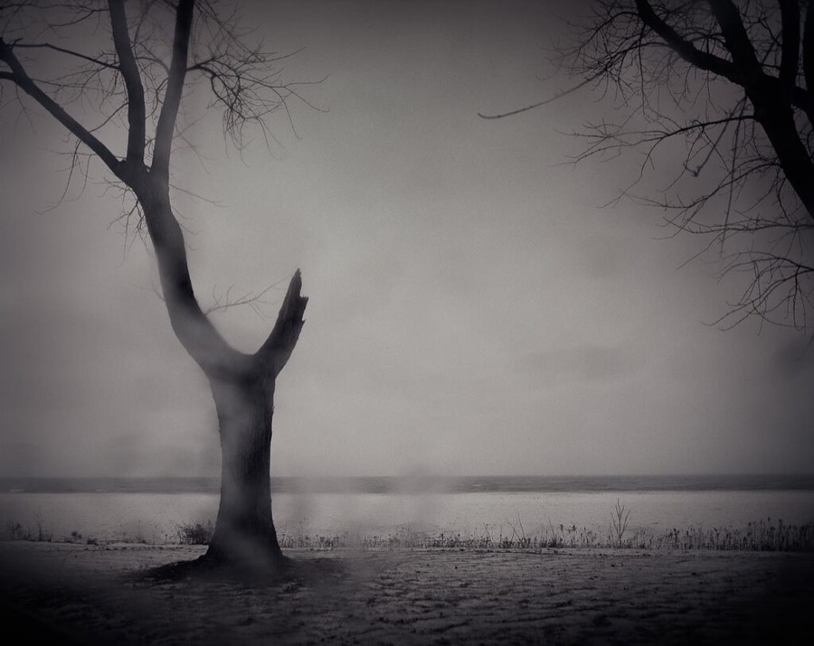 Todd Hido, 10101, 2011