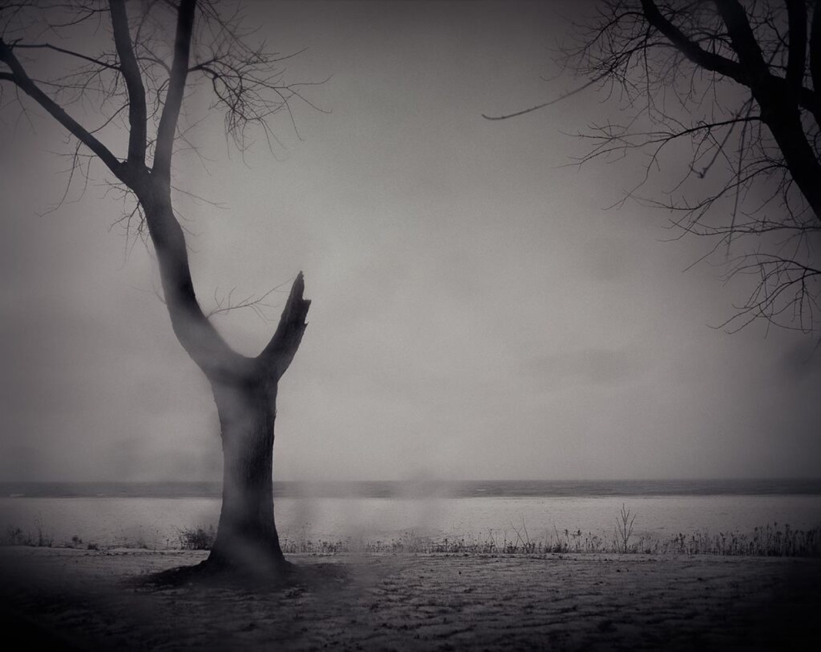 Todd Hido, 10101, 2011